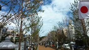Hachimangu-mae Shop Area