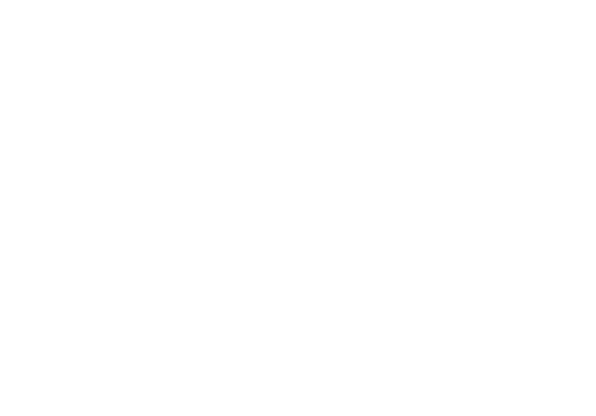 Classic Japan Rally 2017