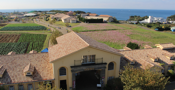Soleil Hill