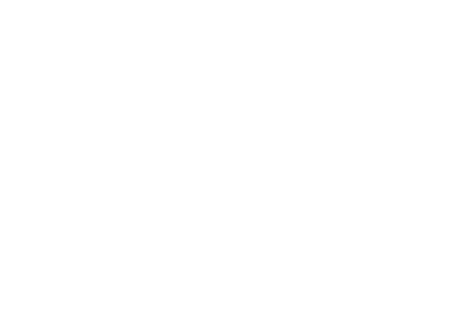 Classic Japan Rally 2019 R134